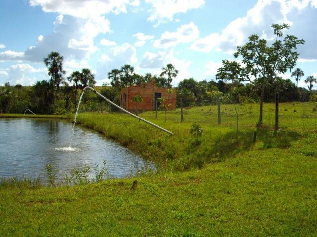 Fazenda de 12,68 alqueires maravilhosa em bela vista de goias - Foto 16