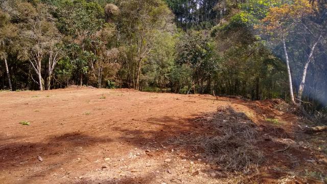 Terra para formação Chacara Campo Largo com luz- 35Km Curitiba