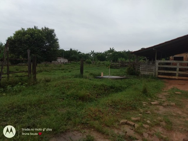 4,42 hectares em Benevides por 250 mil reais porteira fechada - Foto 18