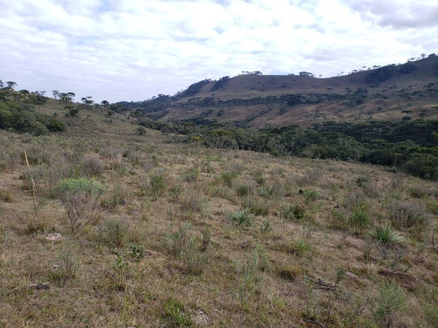 Sitio em Urupema/ sitio próximo de Urubici - Foto 7