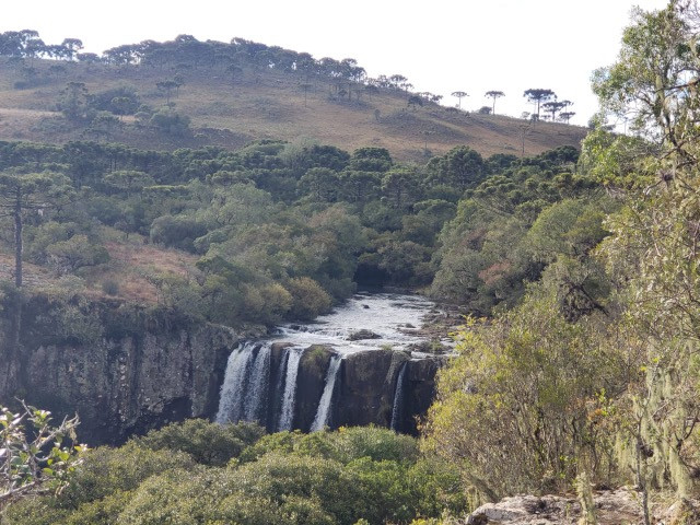 Sitio em Urupema/ sitio próximo de Urubici - Foto 9
