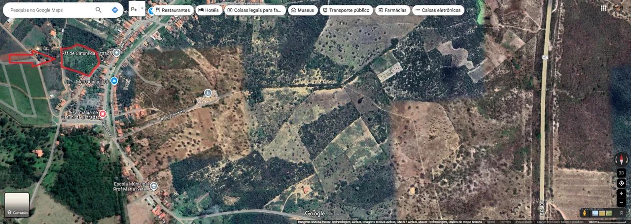 Chácara 10.000m2 a 14km de Sr. do Bonfim/BA - Foto 3