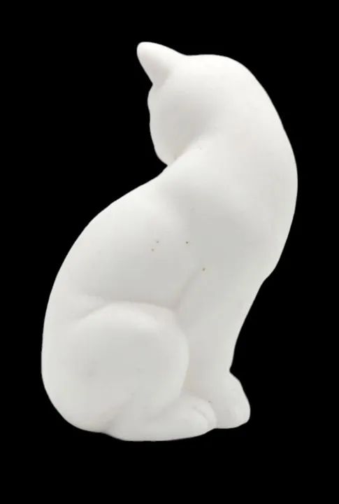 Gatinho Branco - Foto 3