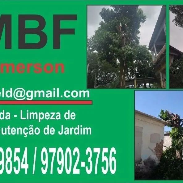 PODA E CORTE DE ÁRVORES ? 