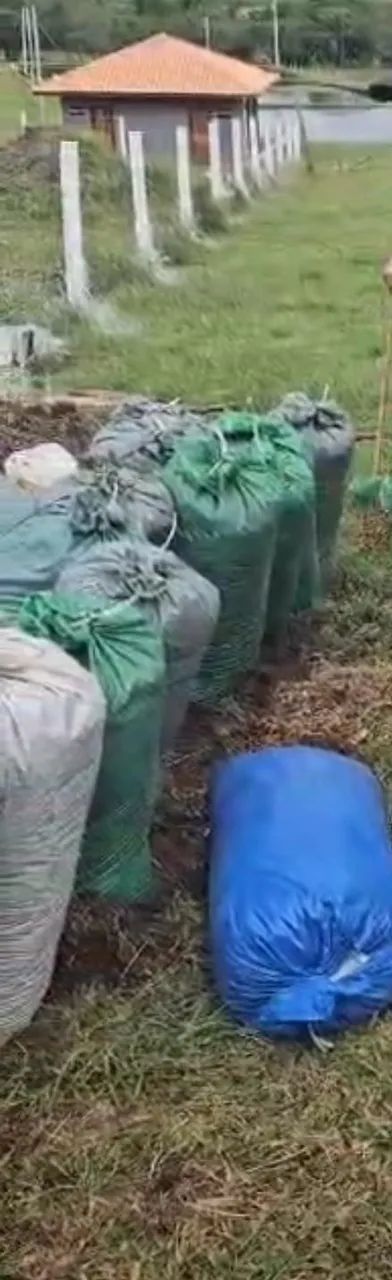 ESTERCO DE CARNEIRO ADUBO ORGÂNICO - Foto 4