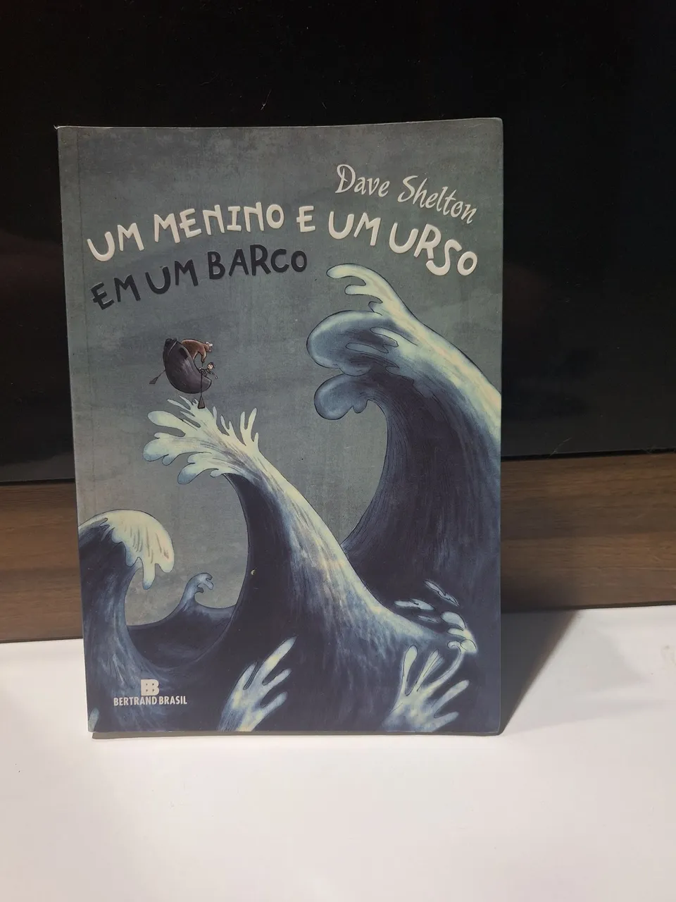 Livro Um Menino e um Urso em um Barco - Dave Shelton