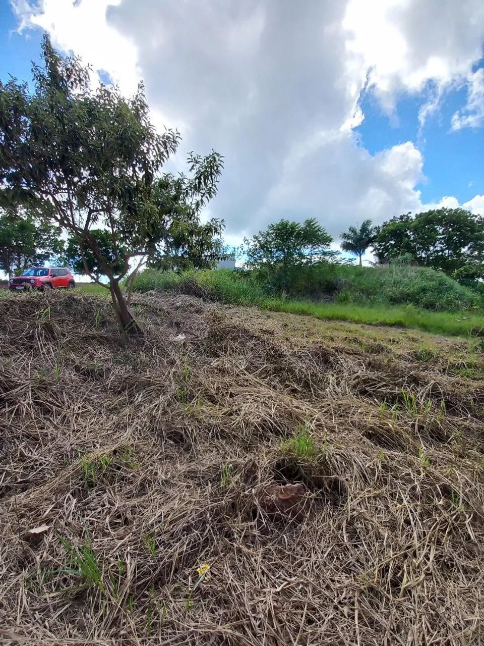 Oportunidade Morada Park lote comercial - Foto 5