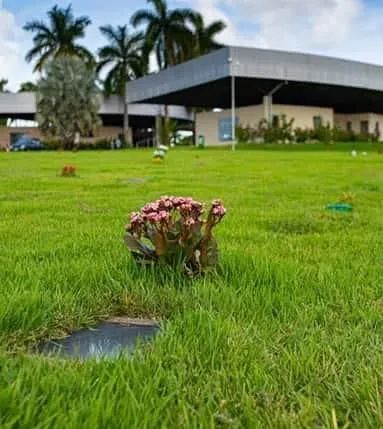 TERRENO NO MEMORIAL PARQUE MACEIÓ  - Foto 4