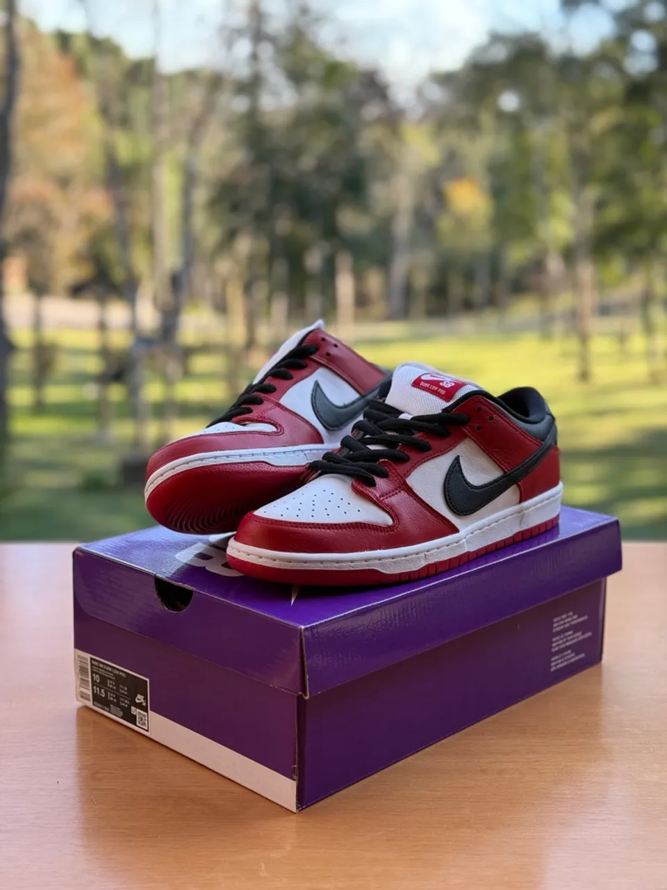 Nike SB Dunk Low Chicago