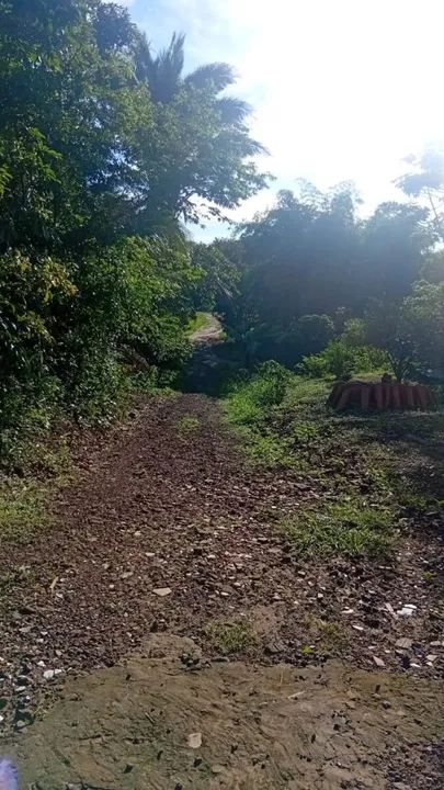 Casa chácara aconchegante espaçosa para venda - Foto 3