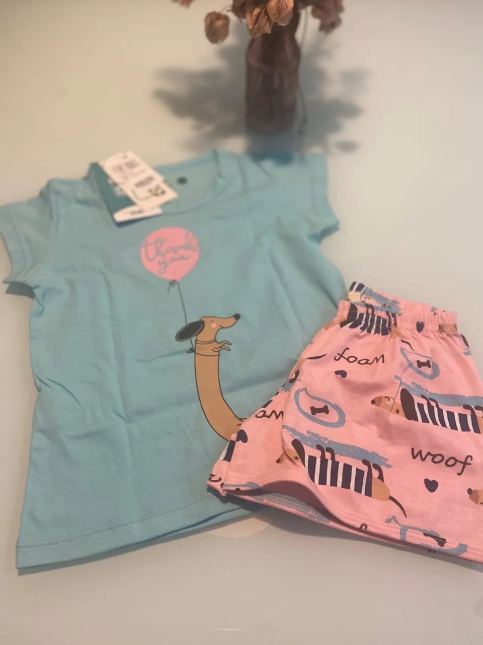 Conjunto Infantil Camiseta e Short Cachorro