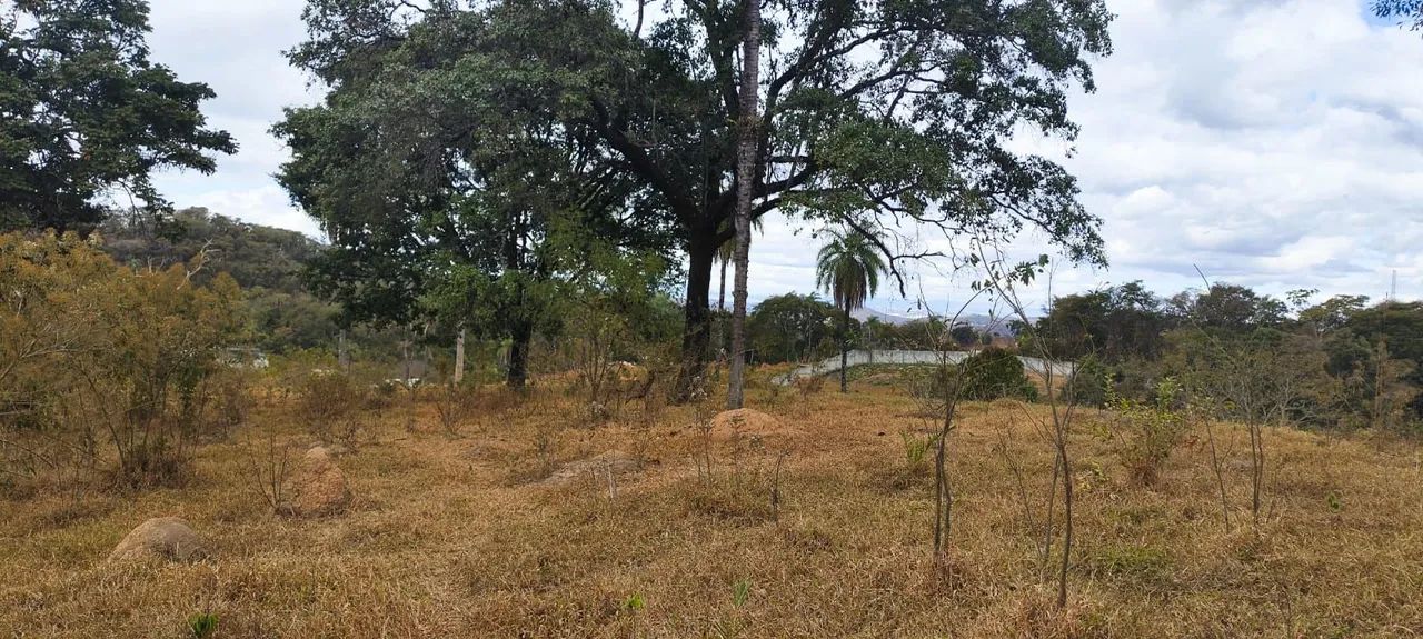Terreno em São José da Lapa - Foto 3