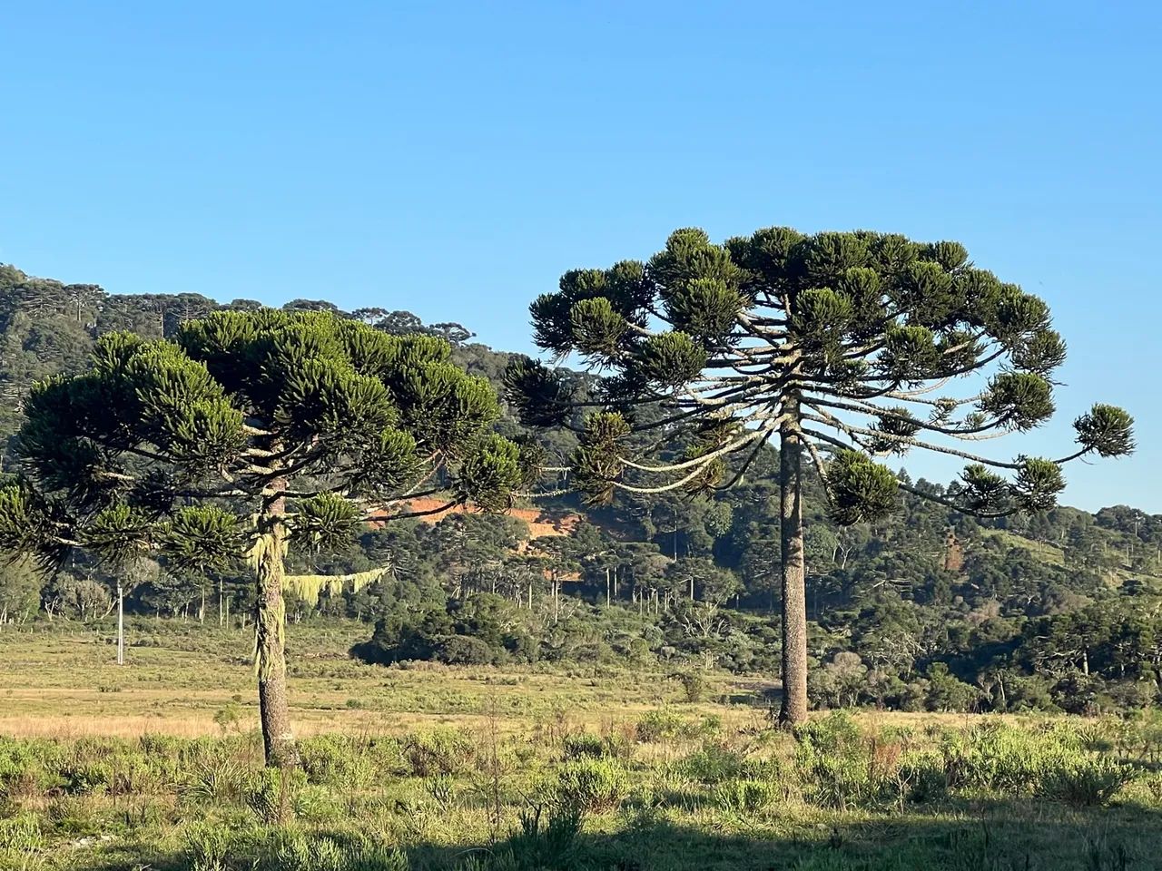 Terrenos em Urubici - a partir R$ 199 mil. - Foto 2