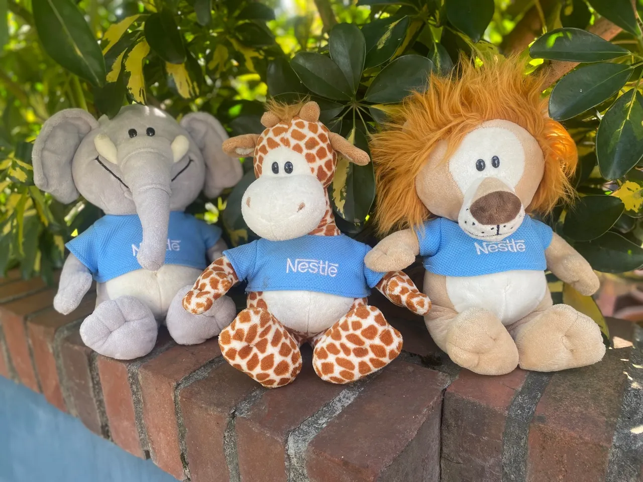Bonecos Pelúcia Promoção Nestlé
