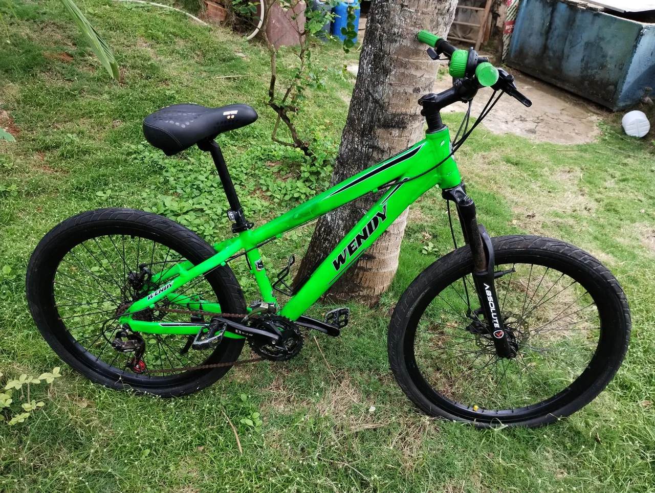 Bicicleta Aro 26 WENDY - Verde
