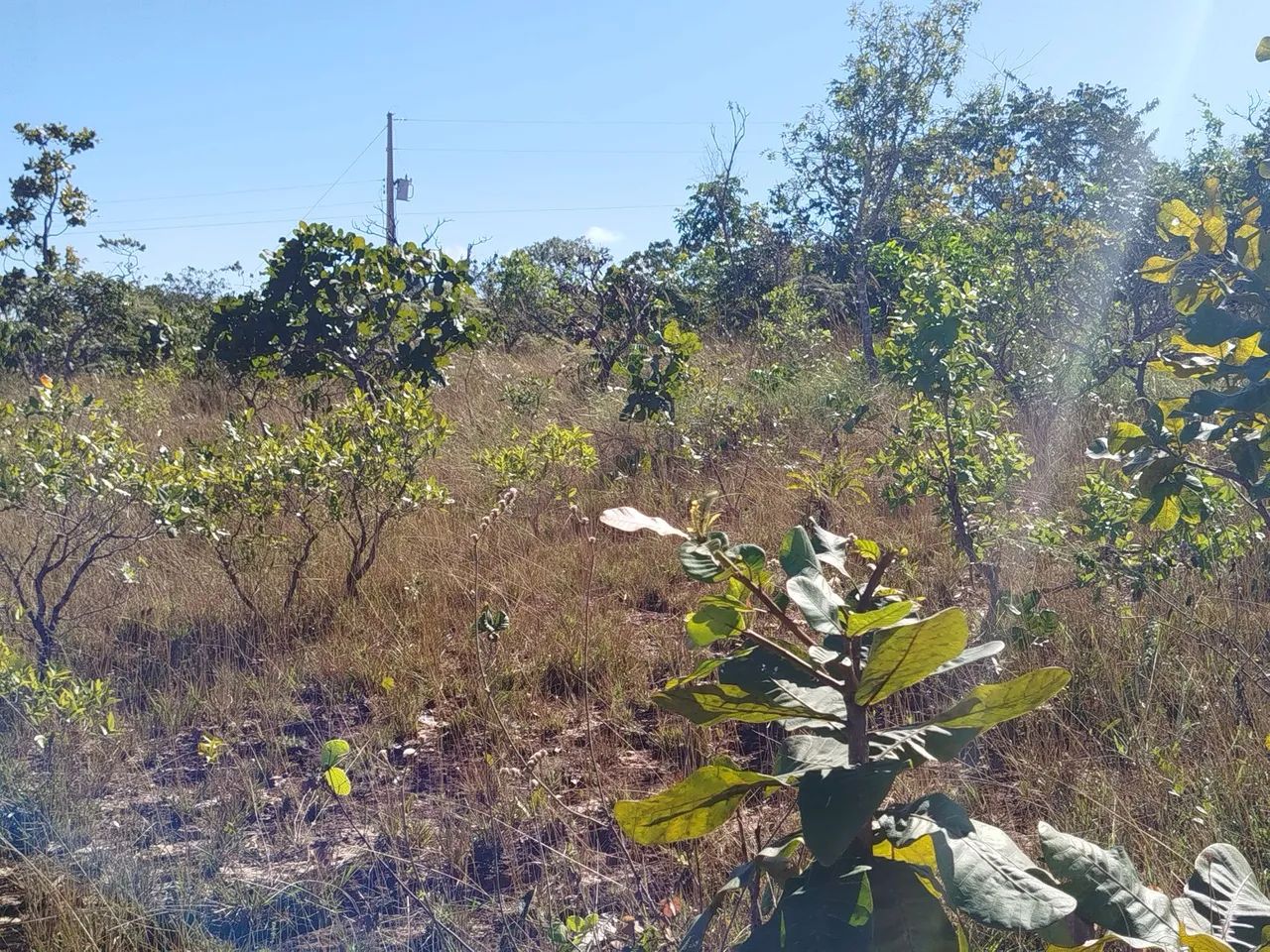 Vendo, um lote. 665 metros - Foto 4