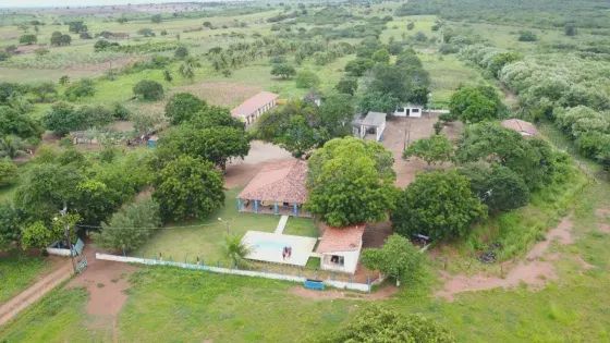 haras  na região de Macaíba com 25 baias é parque de vaquejada - Foto 4