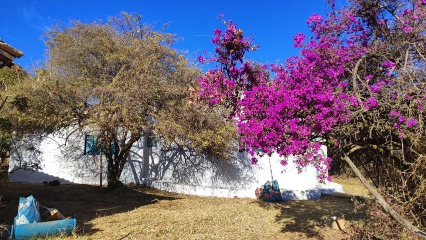 Vende-se Chácara formada no Lago Oeste - Rua 19 - Foto 4
