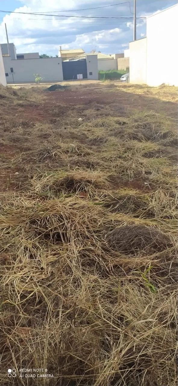 Terreno em Luiz Antônio  - Foto 2