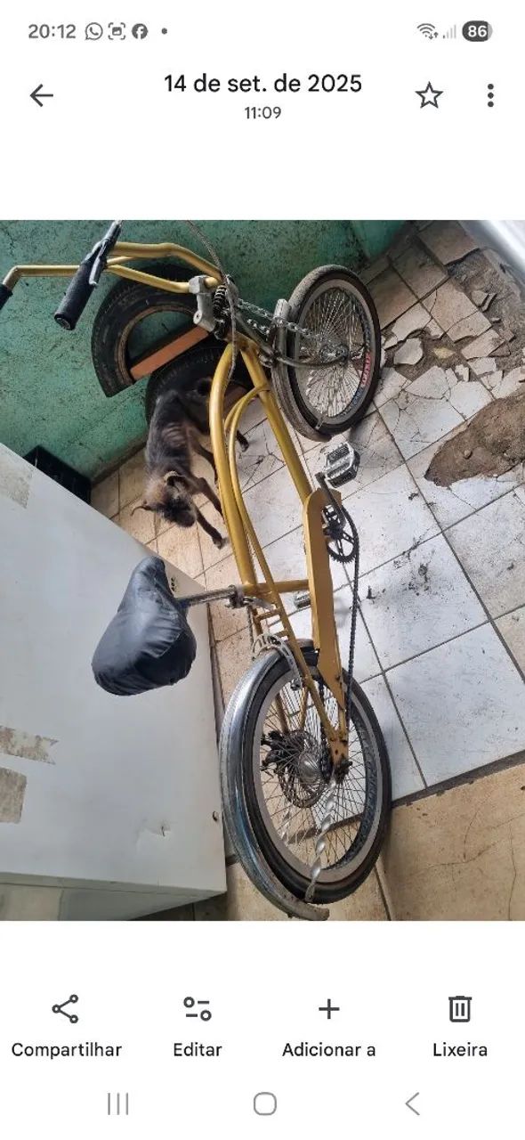 Bicicleta 