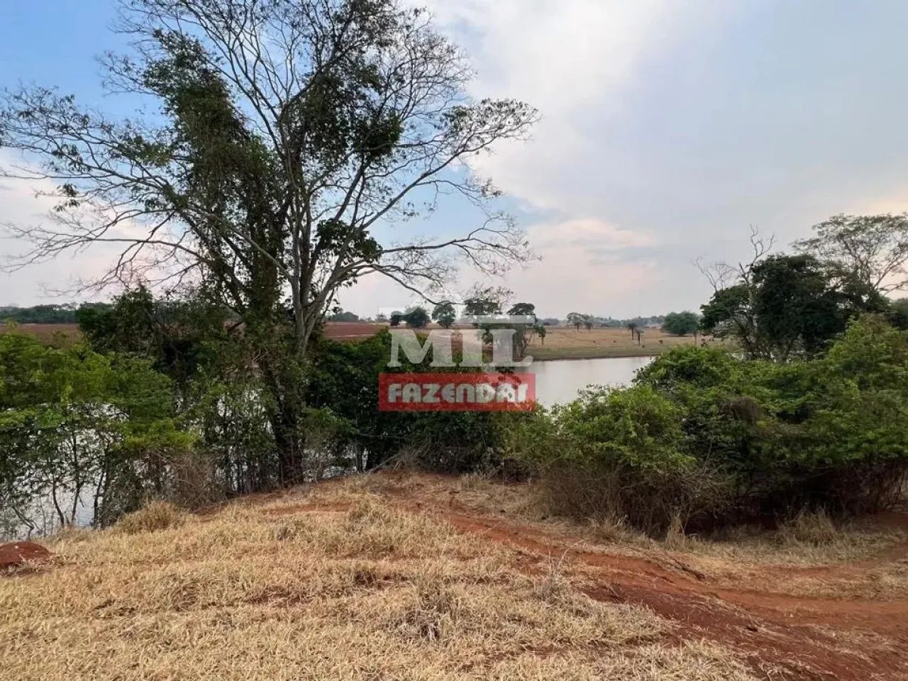 Chácara 5 Alqueires (24,2 Hectares) Brazabantes - GO - Foto 3