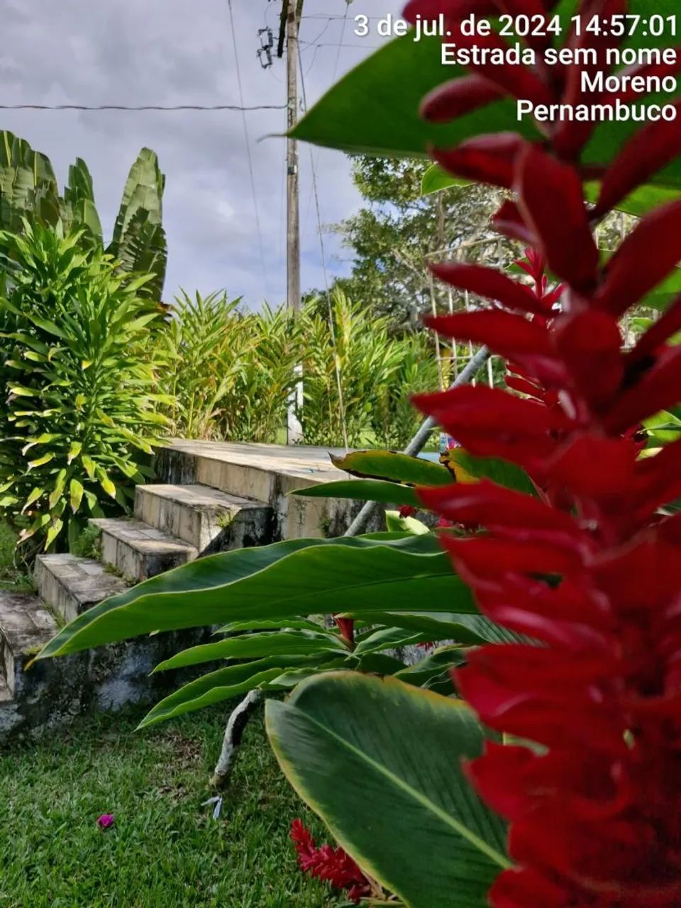 Sítio localizado em Moreno-Pe - Foto 13