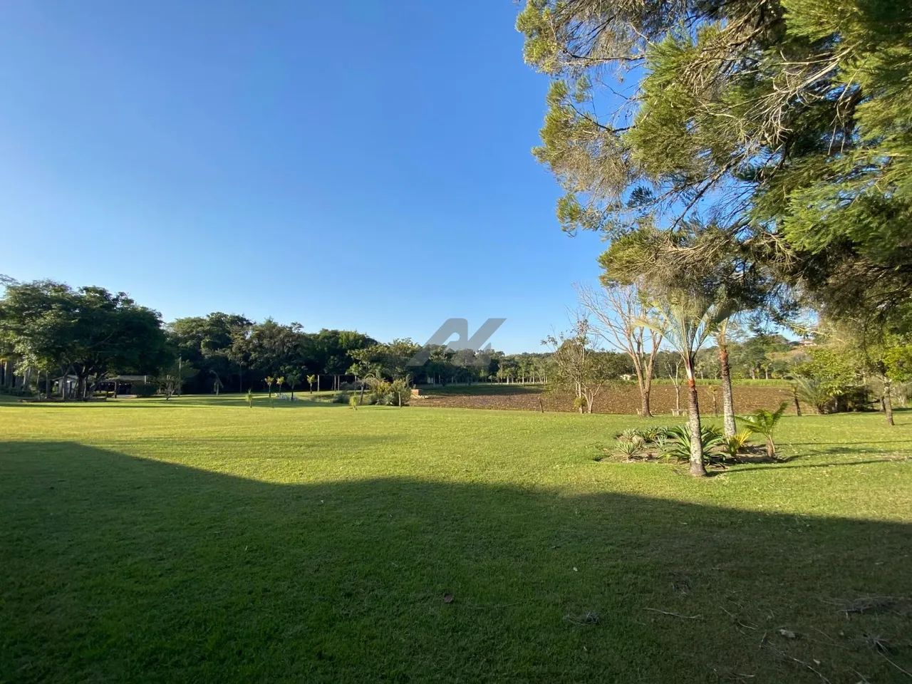 chácara - Sousas - Campinas - Foto 5