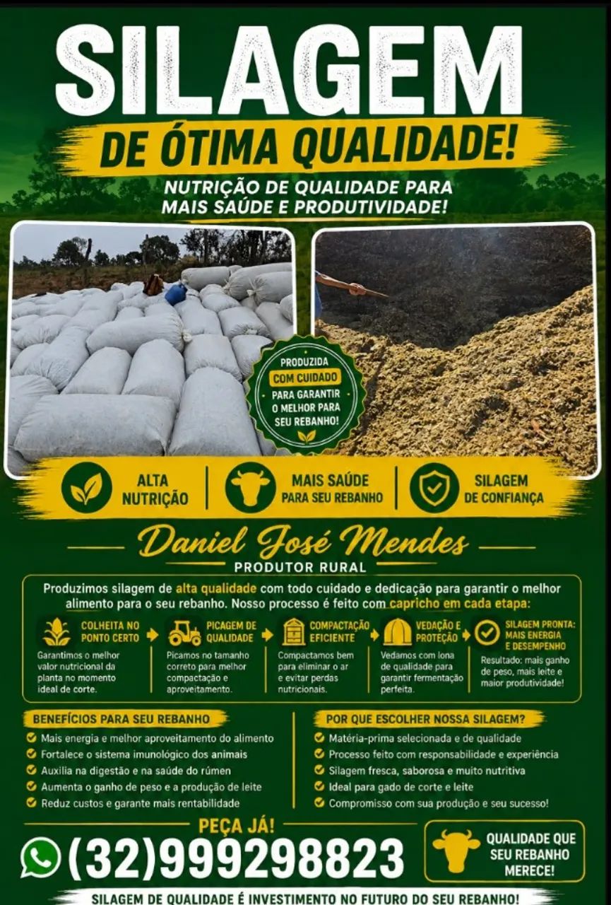 Silagem - Foto 2