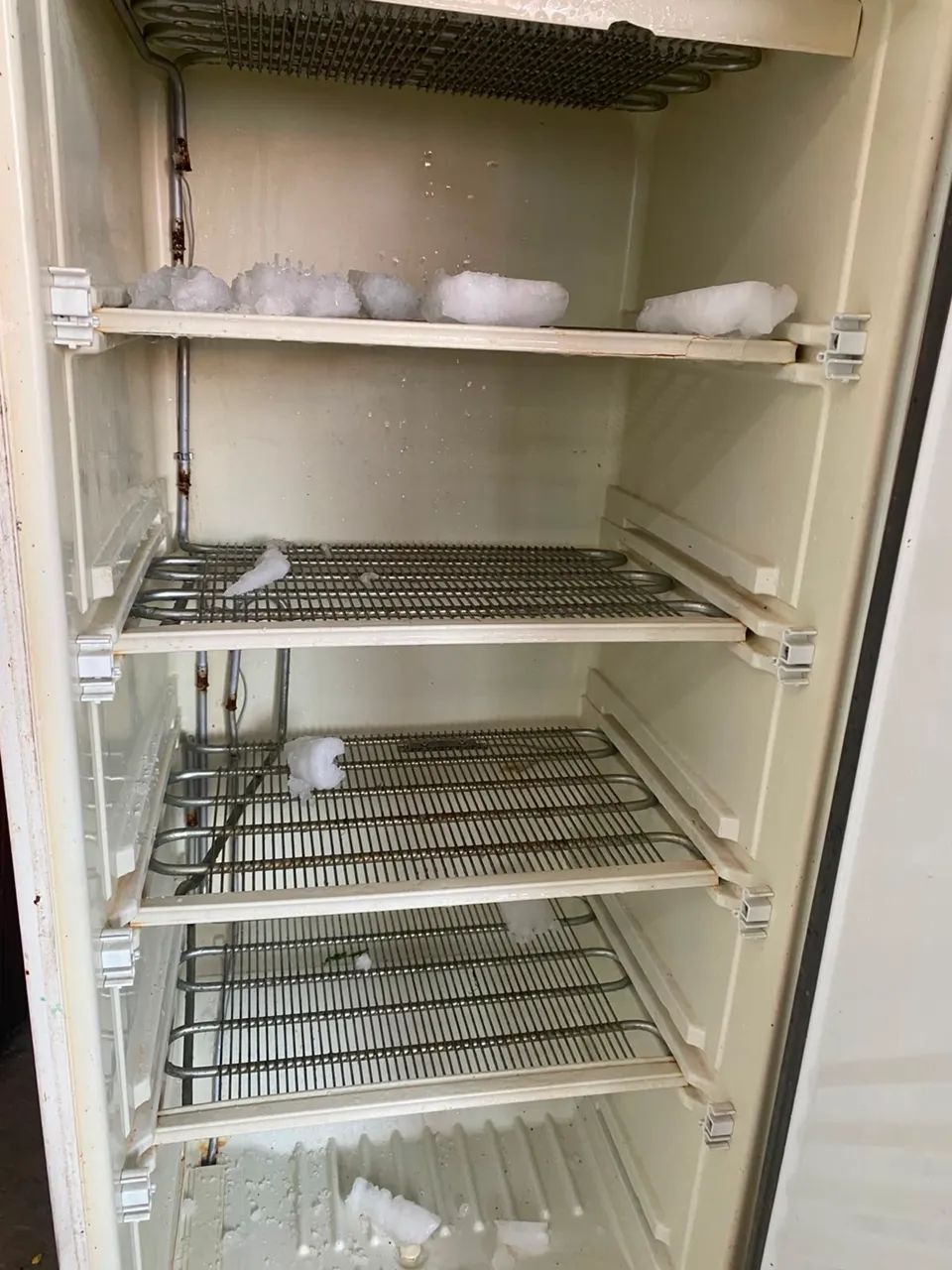 Freezers  - Foto 2