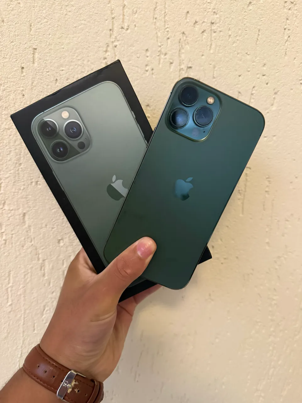 Celulares APPLE IPHONE 13 PRO MAX Usados, seminovos e Novos no Brasil