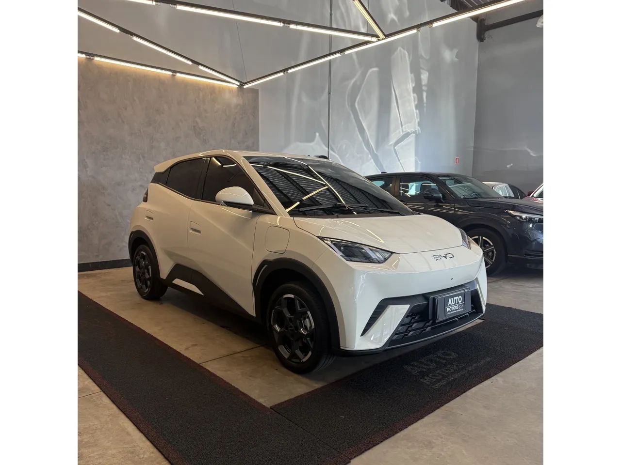 BYD Dolphin Mini (Elétrico) 2027 - Foto 3