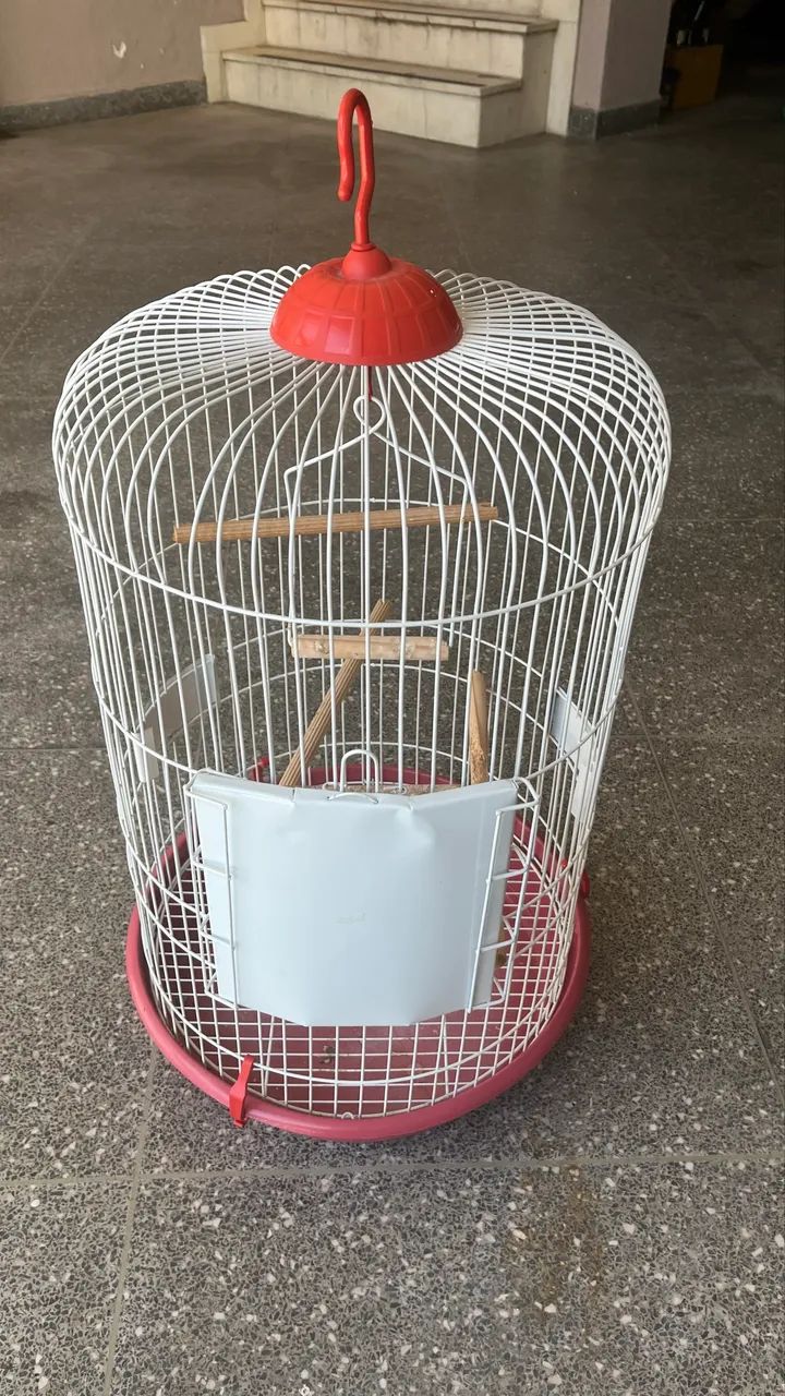 Gaiola piu piu - Foto 3