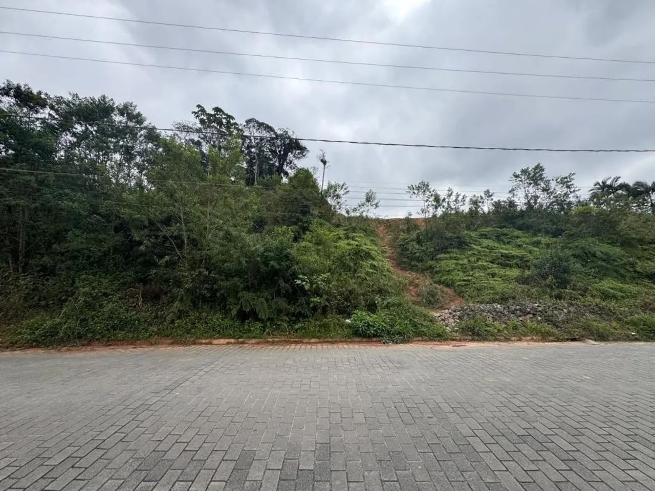 TERRENO no VILA NOVA com 0 quartos para VENDA, 543 m² - Foto 4