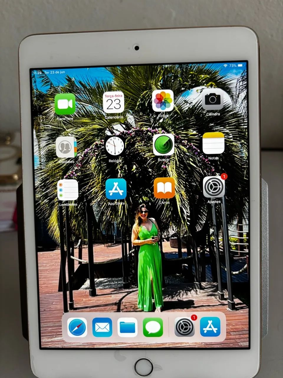 iPad Mini 
