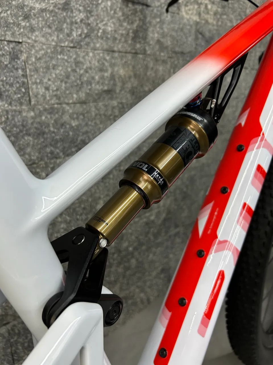 BMC Fourstroke 01 LTD - Tamanho S - Foto 3