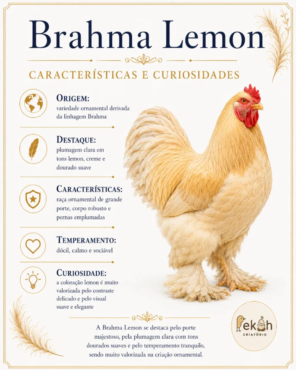 Brahma Lemon Galinha - Foto 5