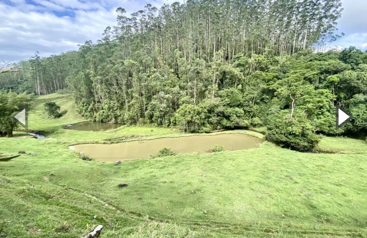 Linda área rural com 82 hectares em Vidal Ramos (SC) - Foto 4