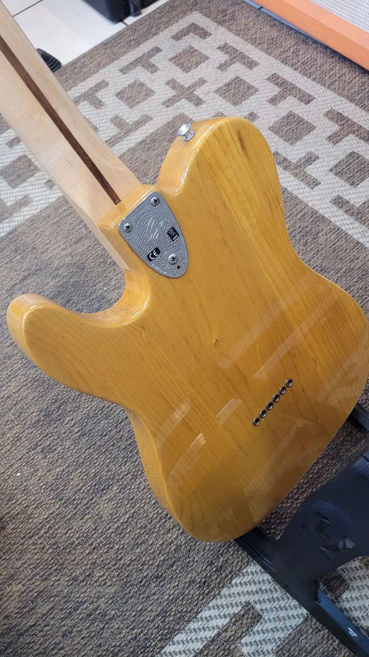 Fender Telecaster Thinline, Made in Mexico  - Foto 5