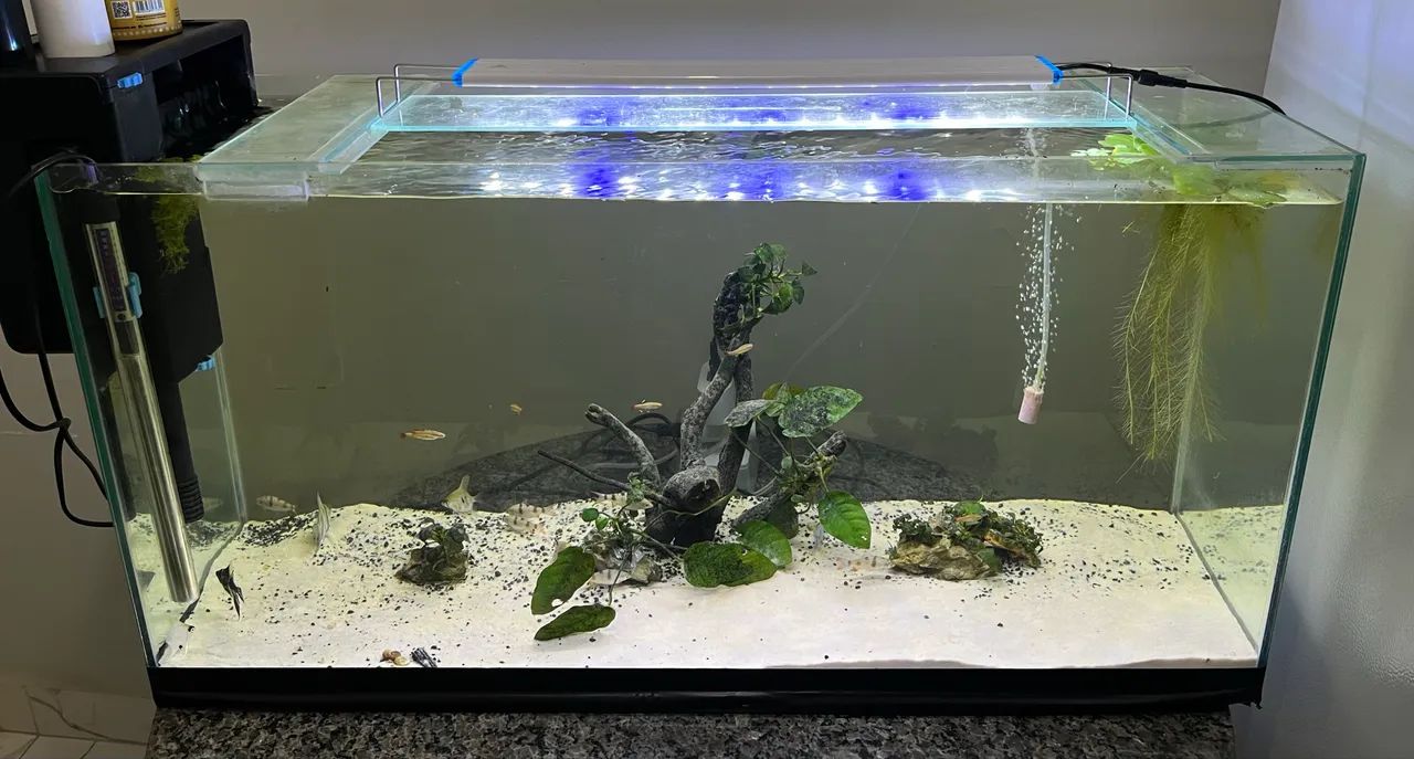 Aquario 125lts