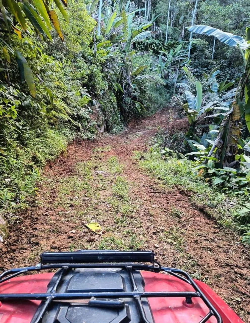 VENDO CHÁCARA EM 3 RIACHOS BIGUAÇU  - Foto 3