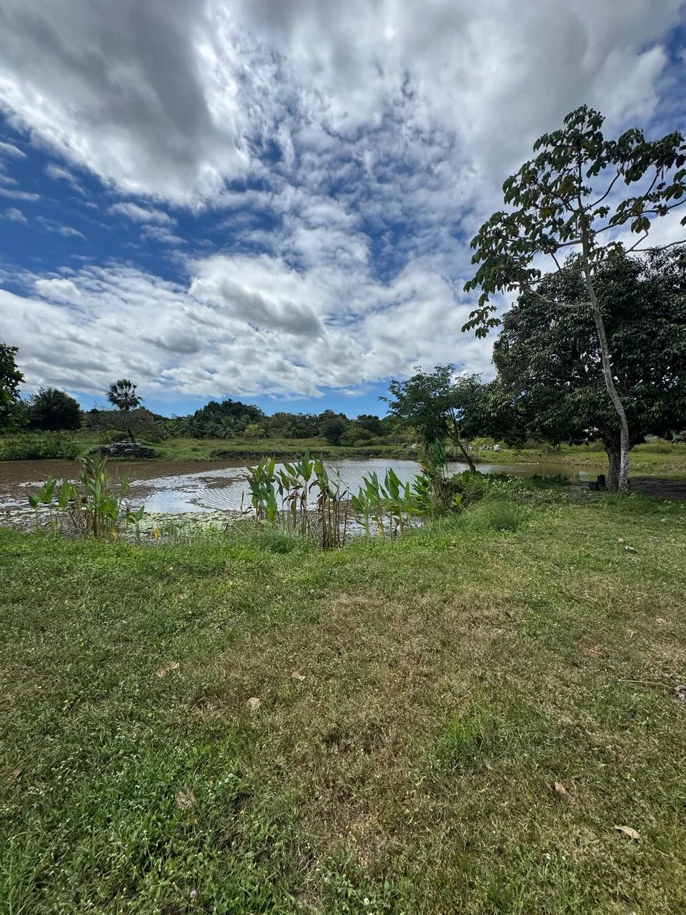 Terreno/lote Vila Verde da Terra Brasilis no Eusebio - Foto 2