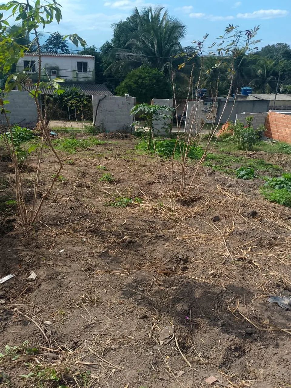  Excelente terreno em Seropédica  - Foto 3
