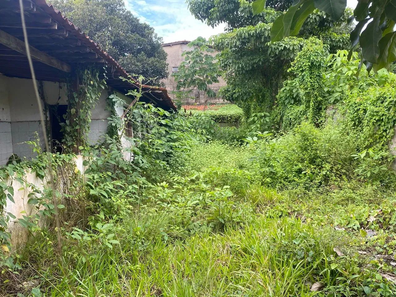 TERRENO/CASA (MIRANDA DO NORTE/BR 135) - Foto 4