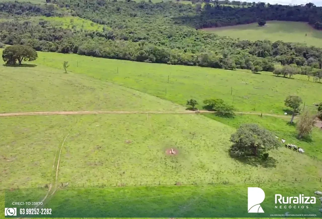 FAZENDA COM RIBEIRÃO, REPRESA E NASCENTES | 242 HA EM PRODUÇÃO - Foto 5