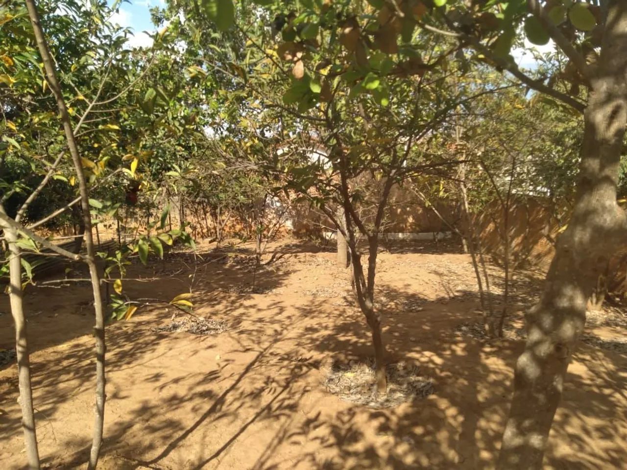Lote  - Foto 2