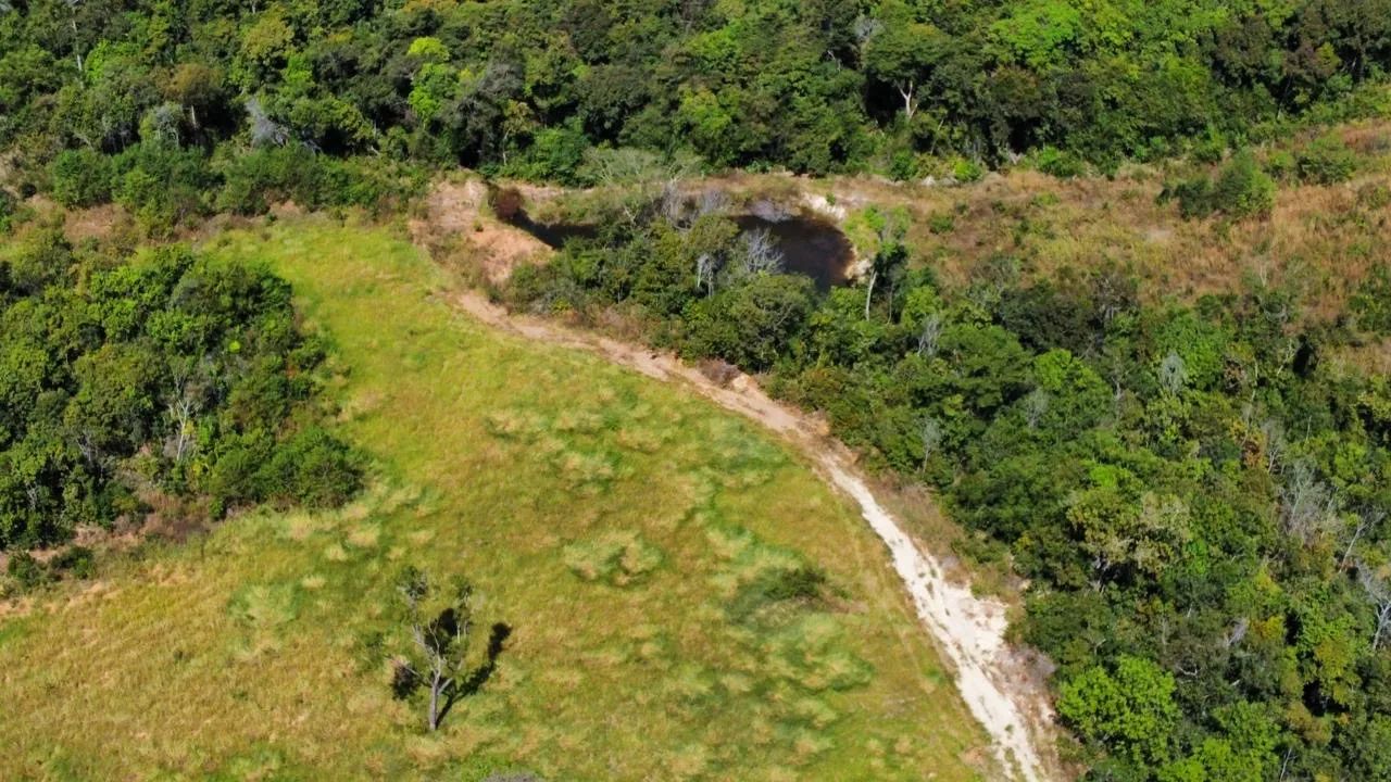 Fazenda de Dupla Aptidão - Silvanópolis  - Foto 2