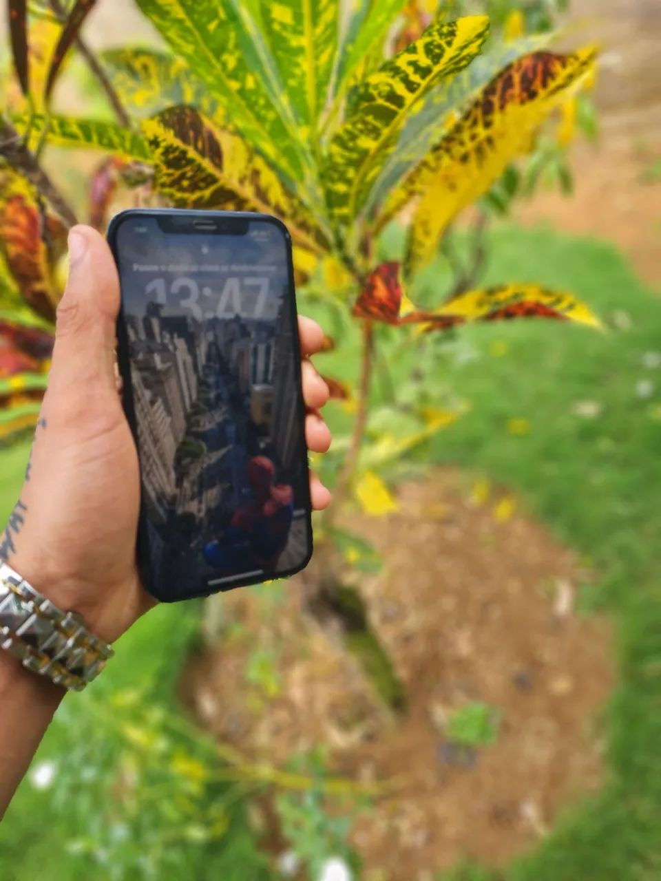 Iphone 12 impecavel | todo original, face id on - Foto 5