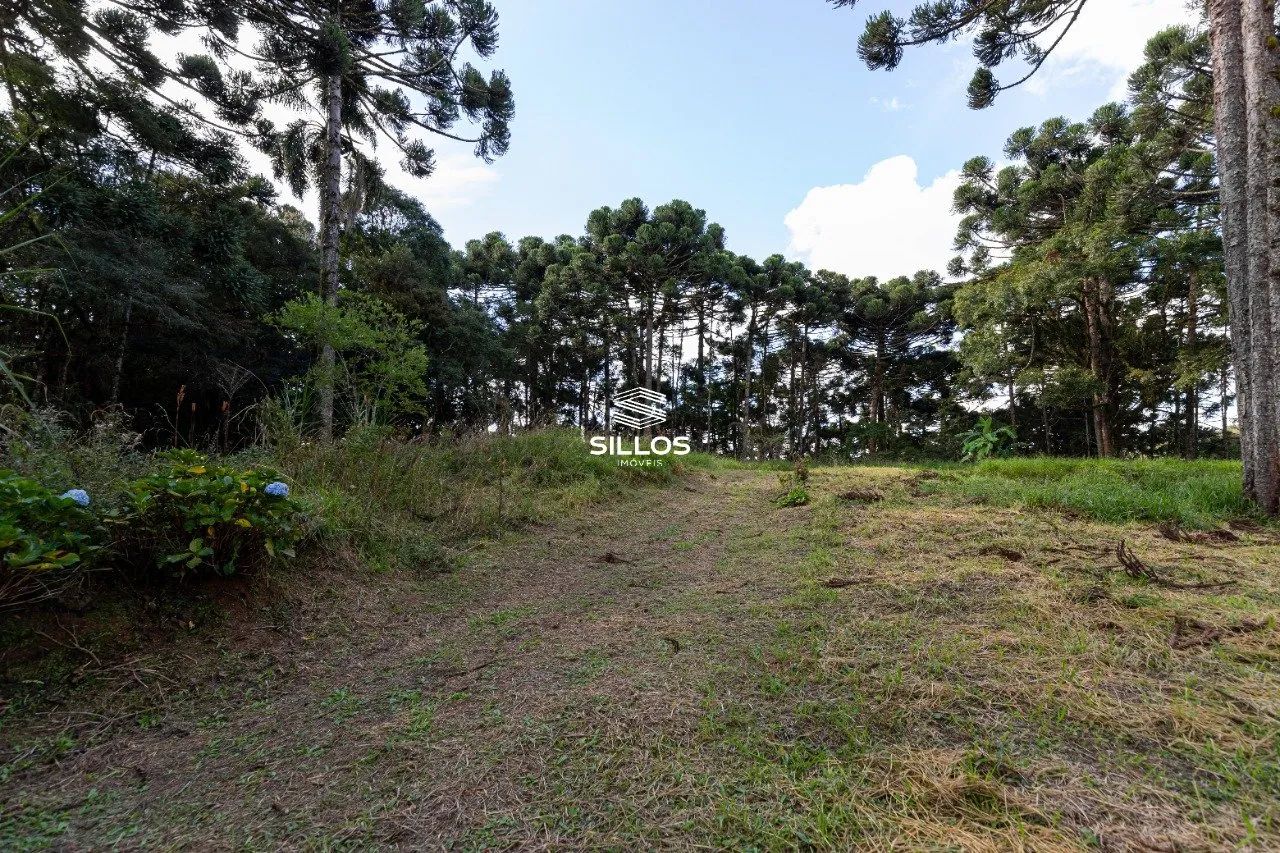 Chácara à venda com 80.000m² em Butiatuvinha em Curitiba - Foto 11