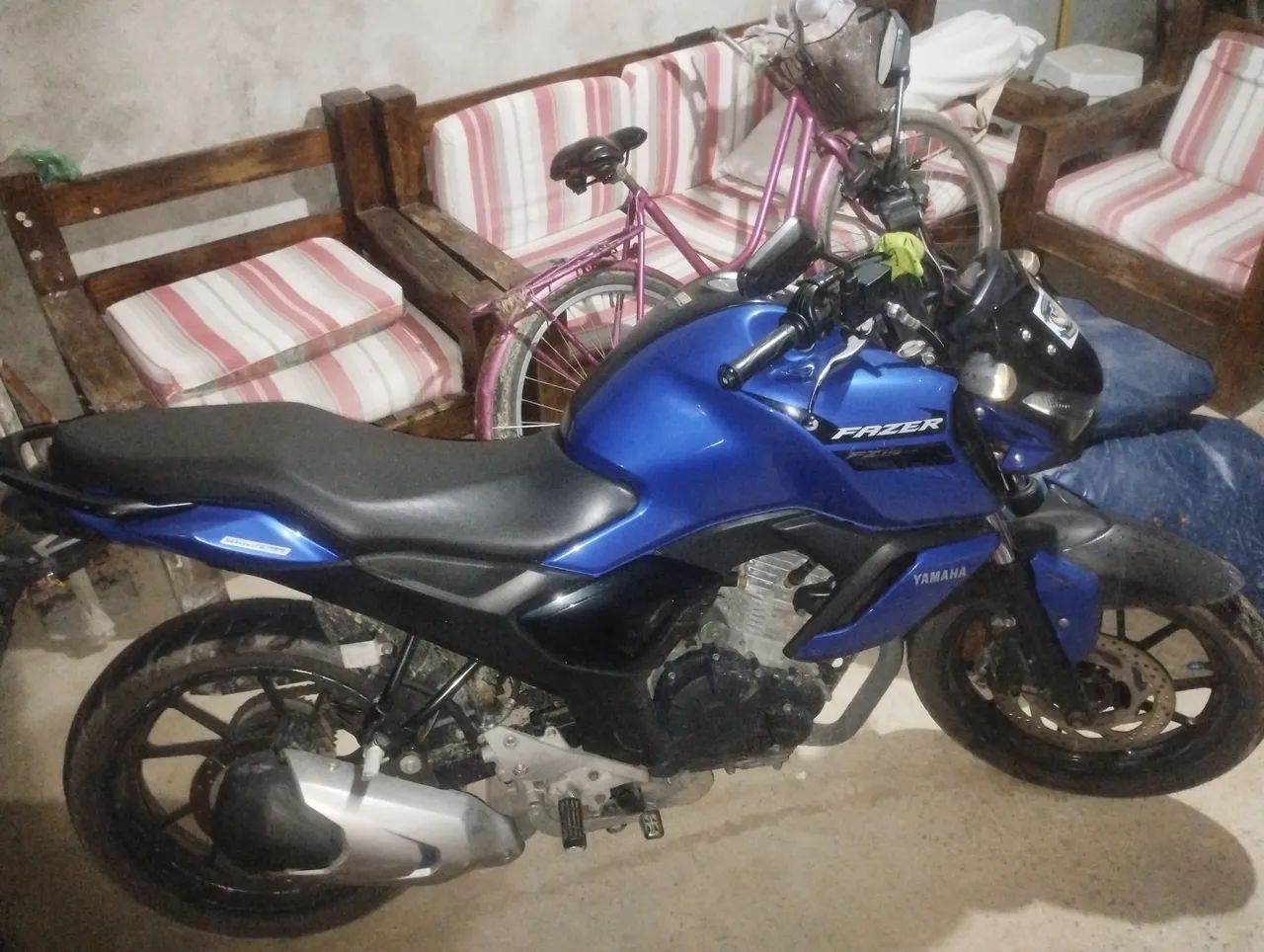 Fz 15 2024