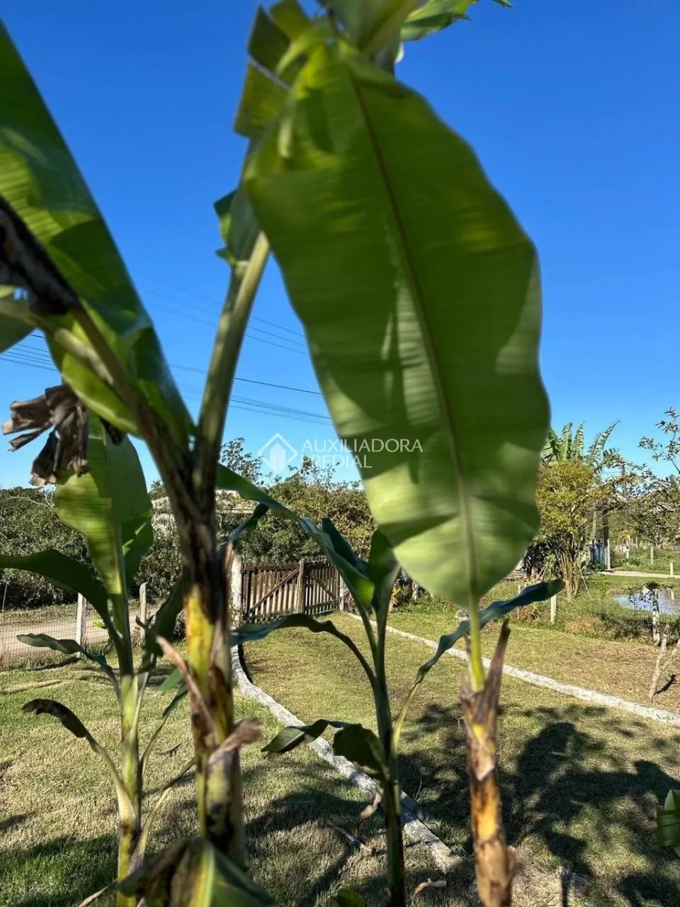 Lindo terreno matriculado e financiável - Foto 4